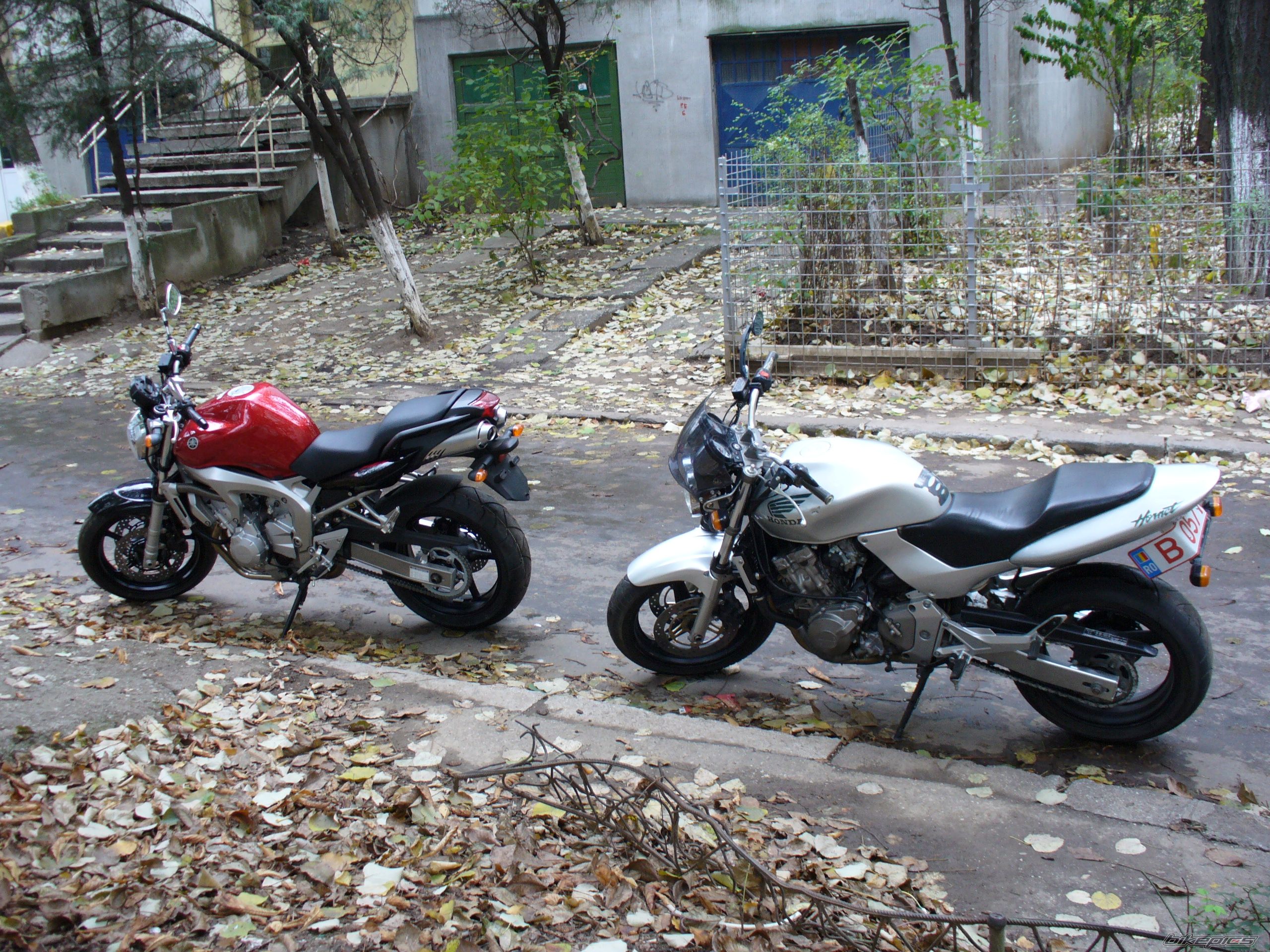 Photo 1023870