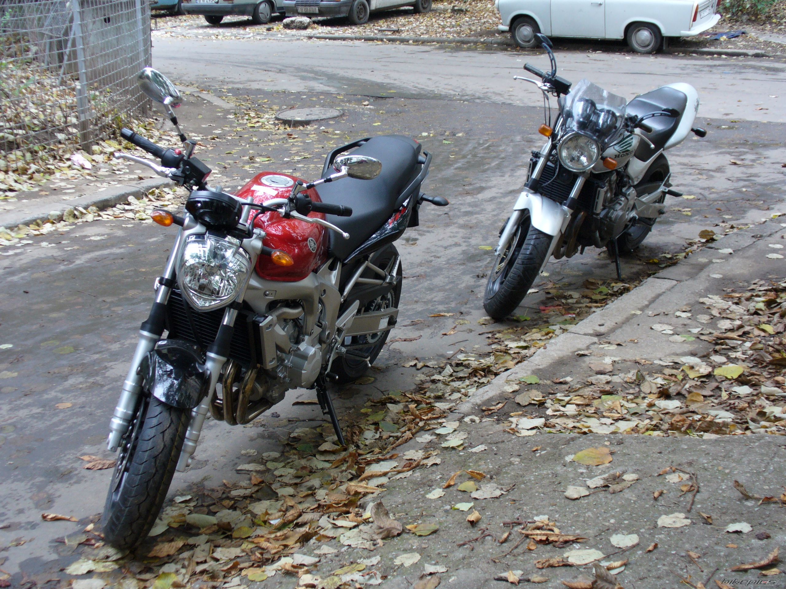 Photo 1023872