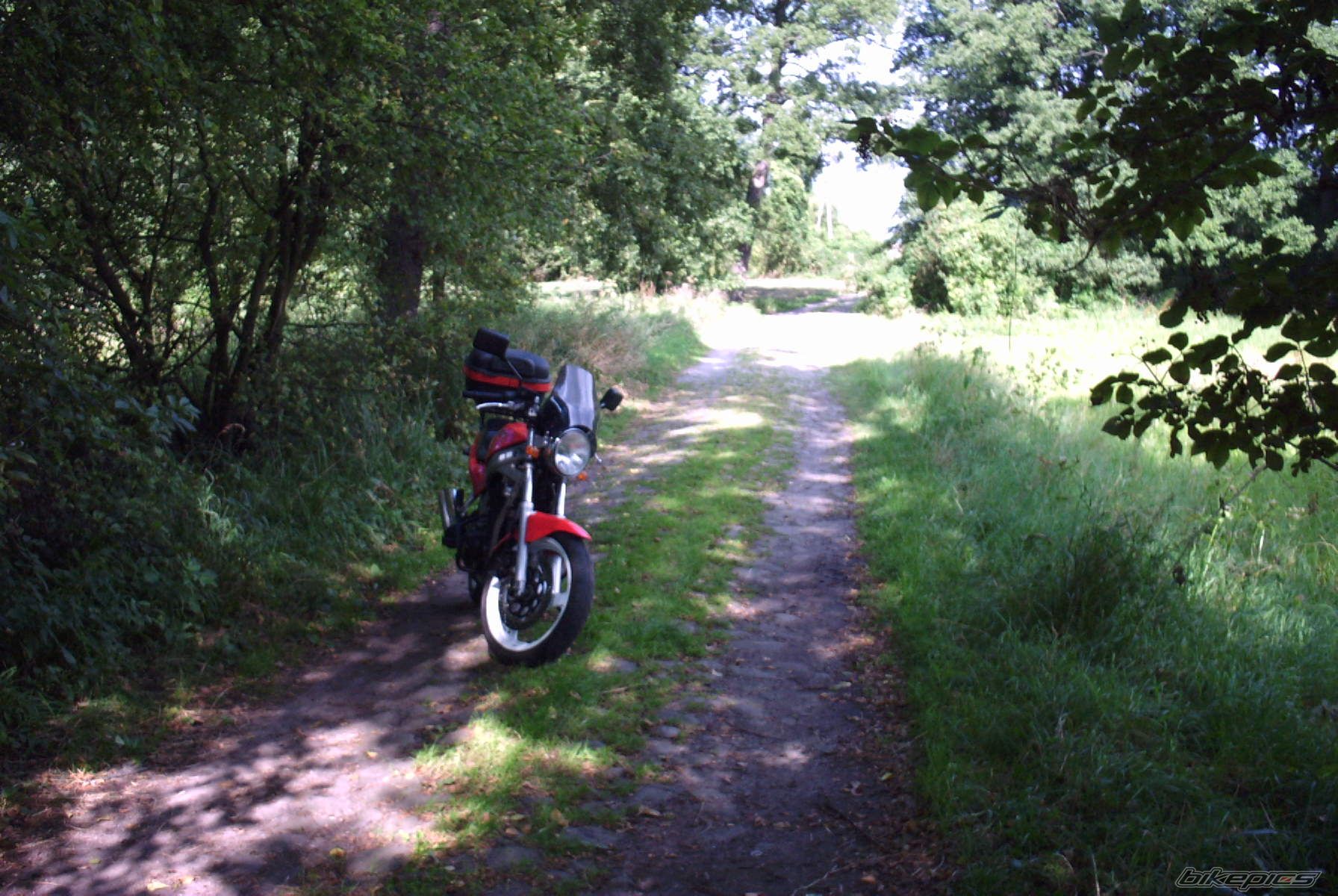 Bike Photo 1023888