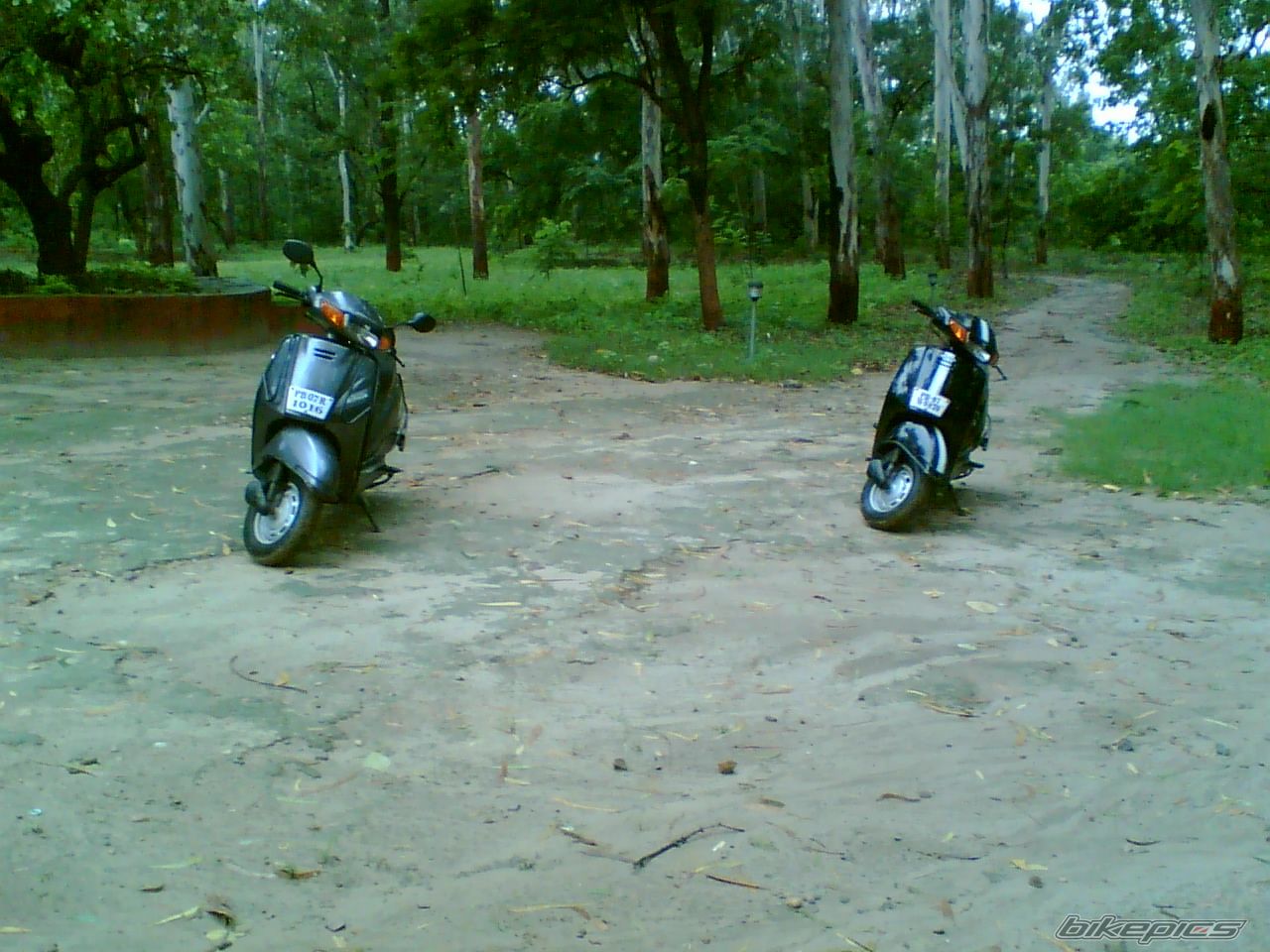 Photo 1024003