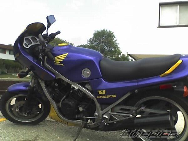 Photo 1024050