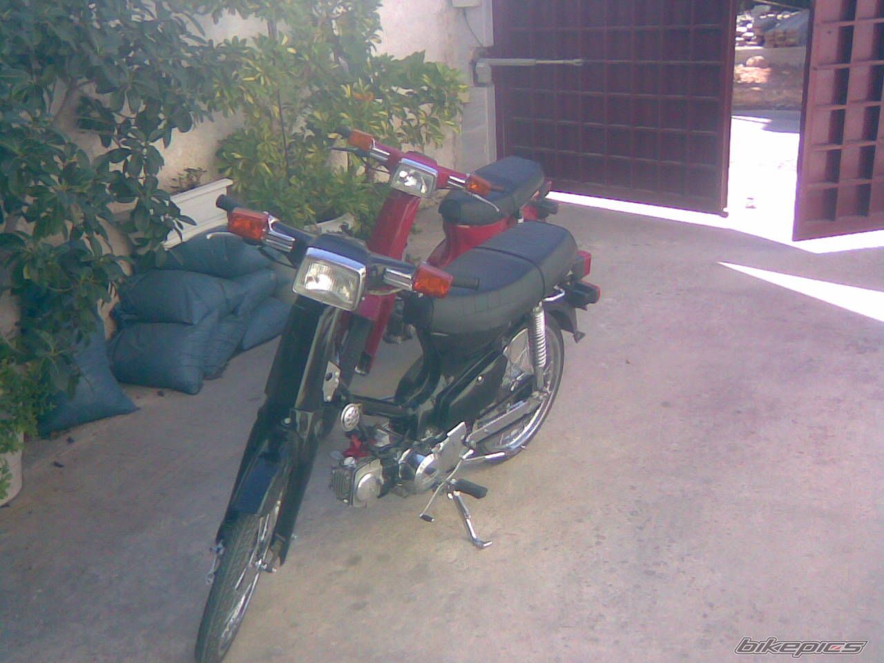 Photo 1024058