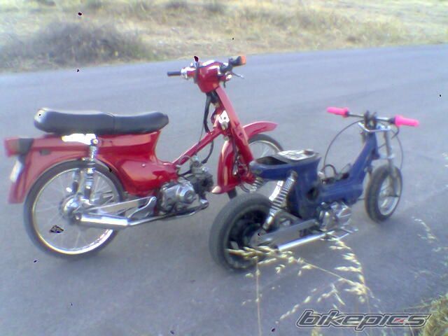 Photo 1024064