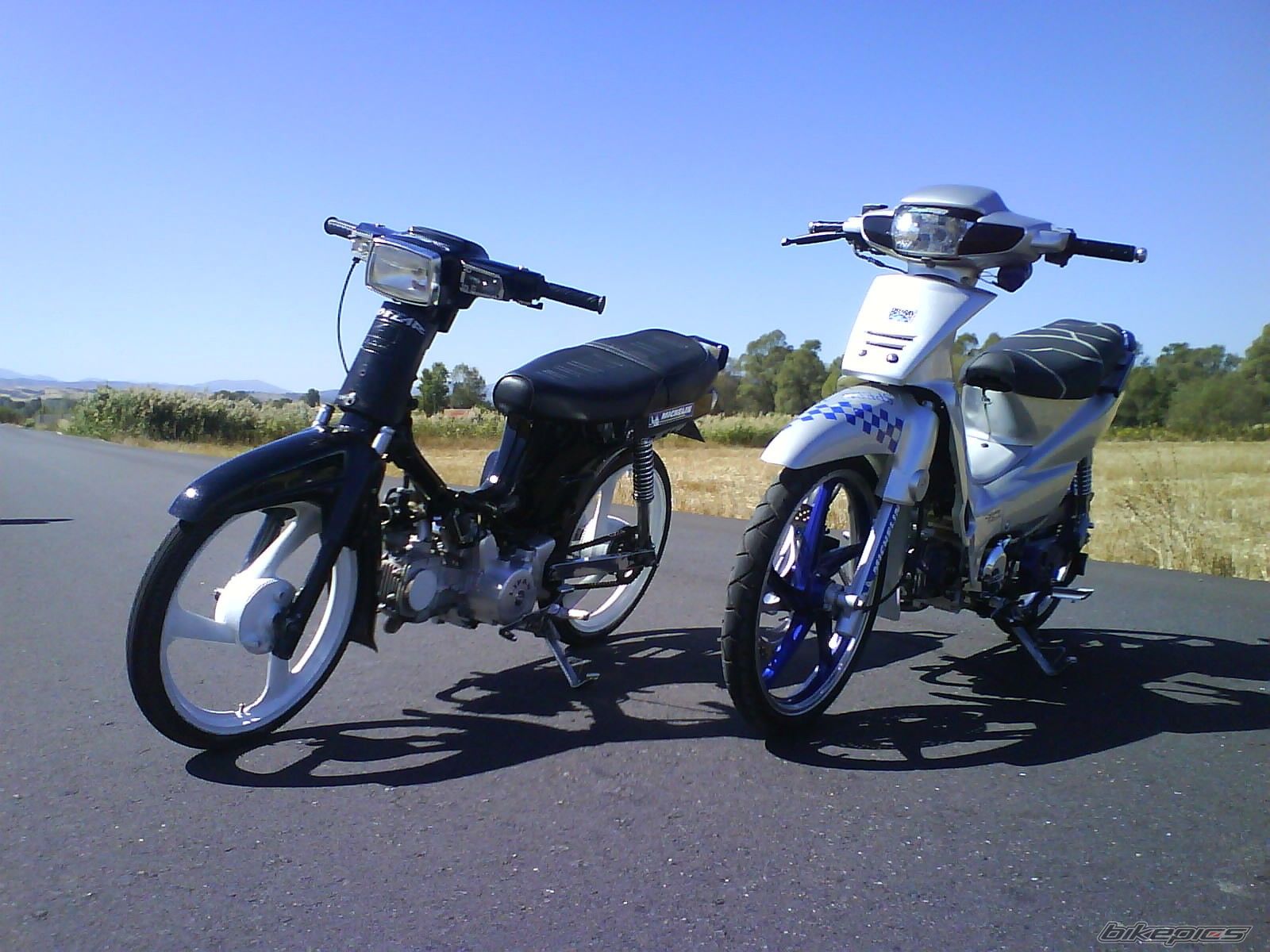 Photo 1024110