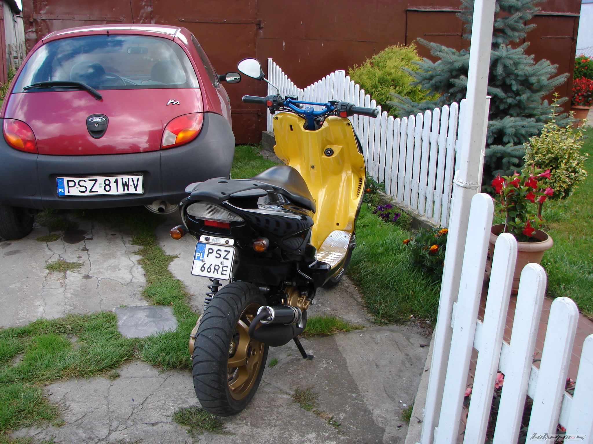 Photo 1024129