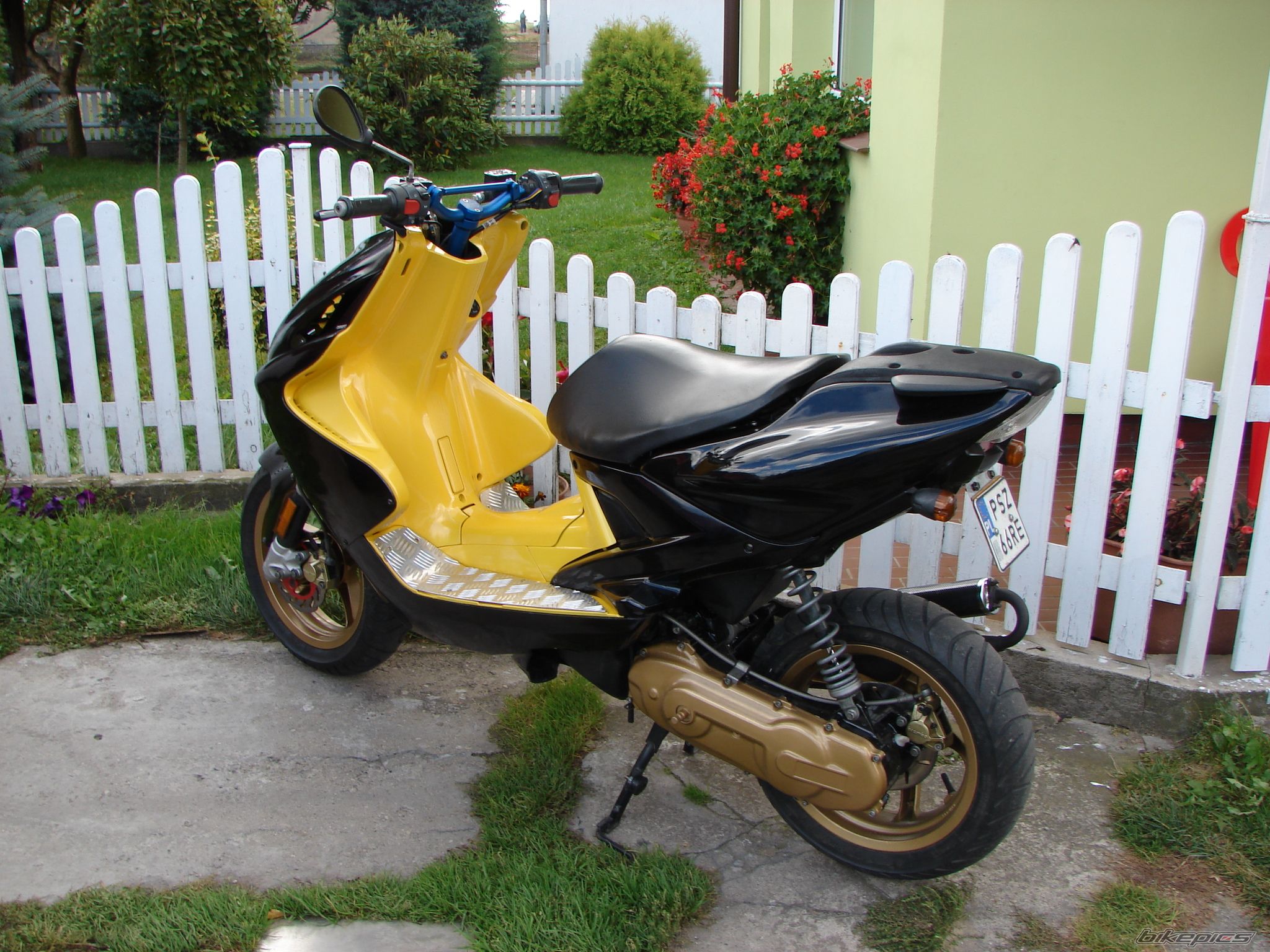 Photo 1024132