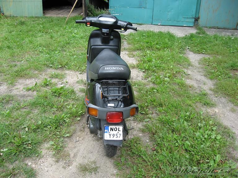 Photo 1024139