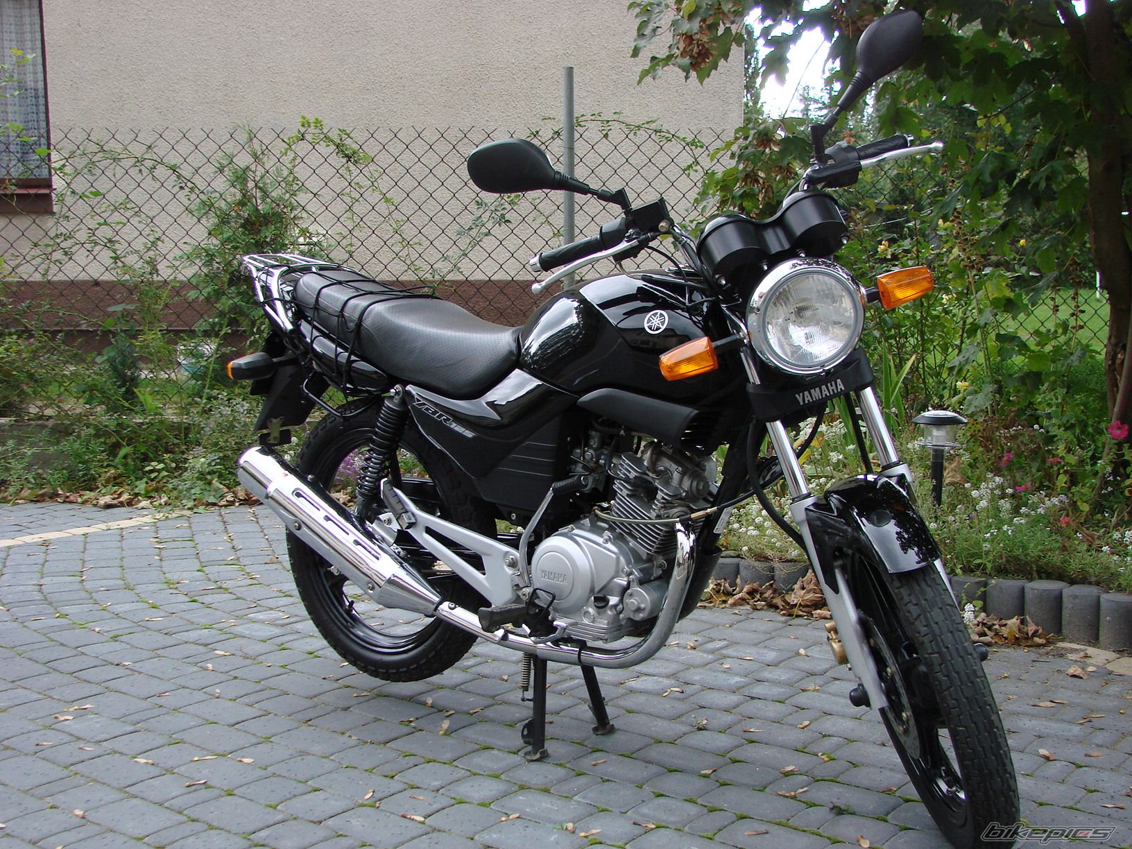 Photo 1024199