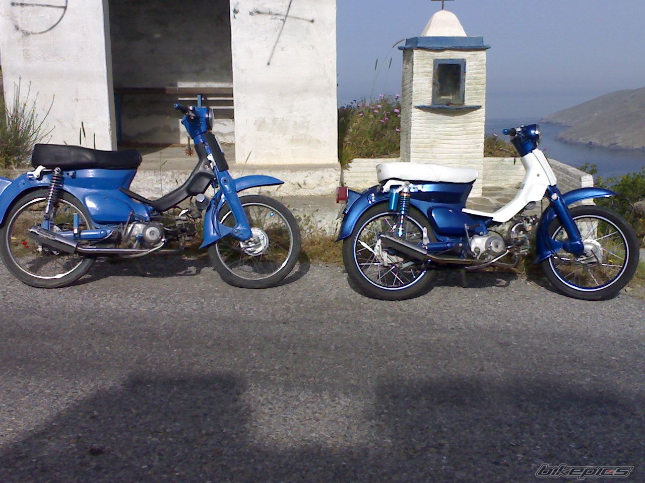 Photo 1024245