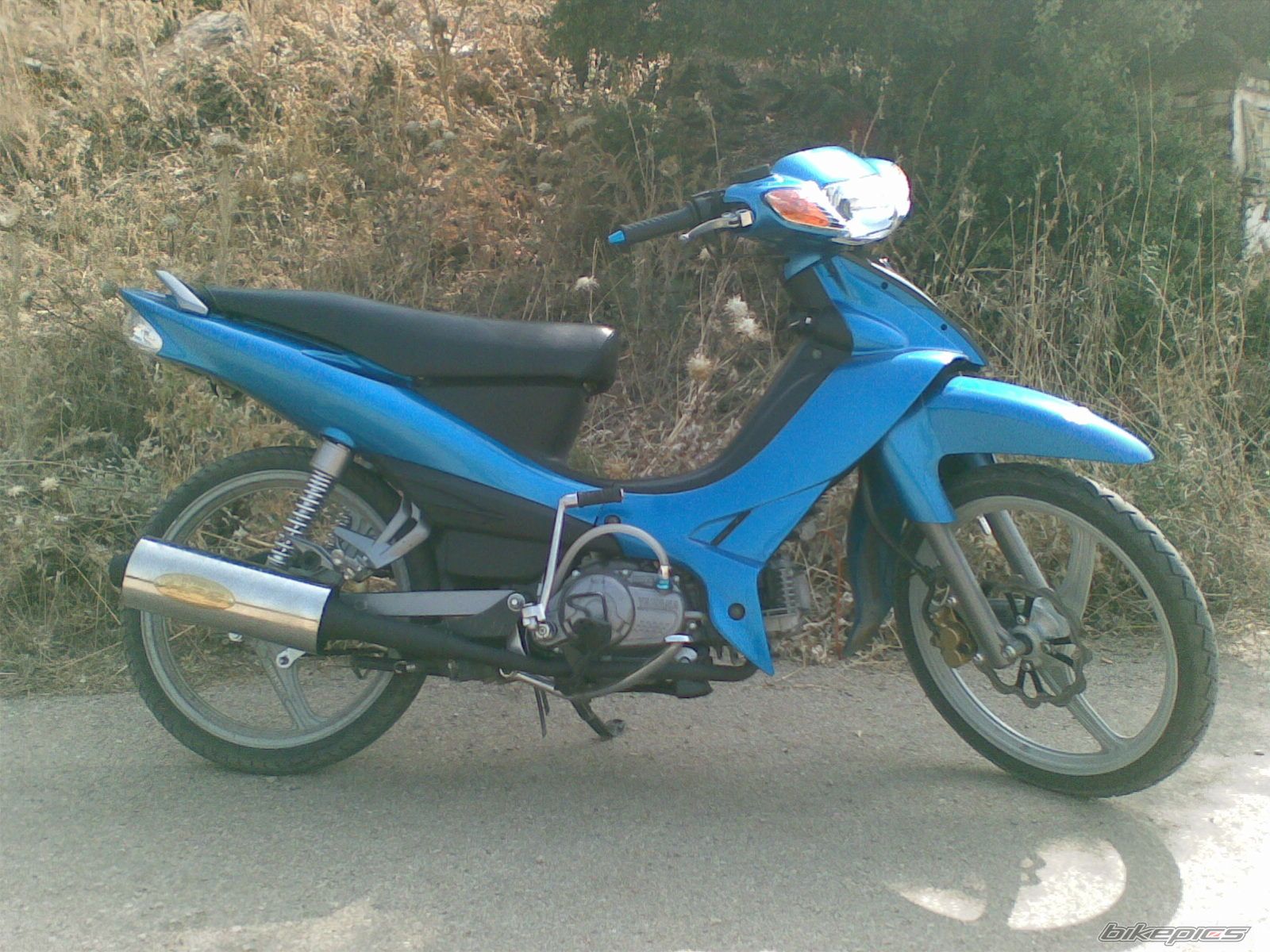 Photo 1024254