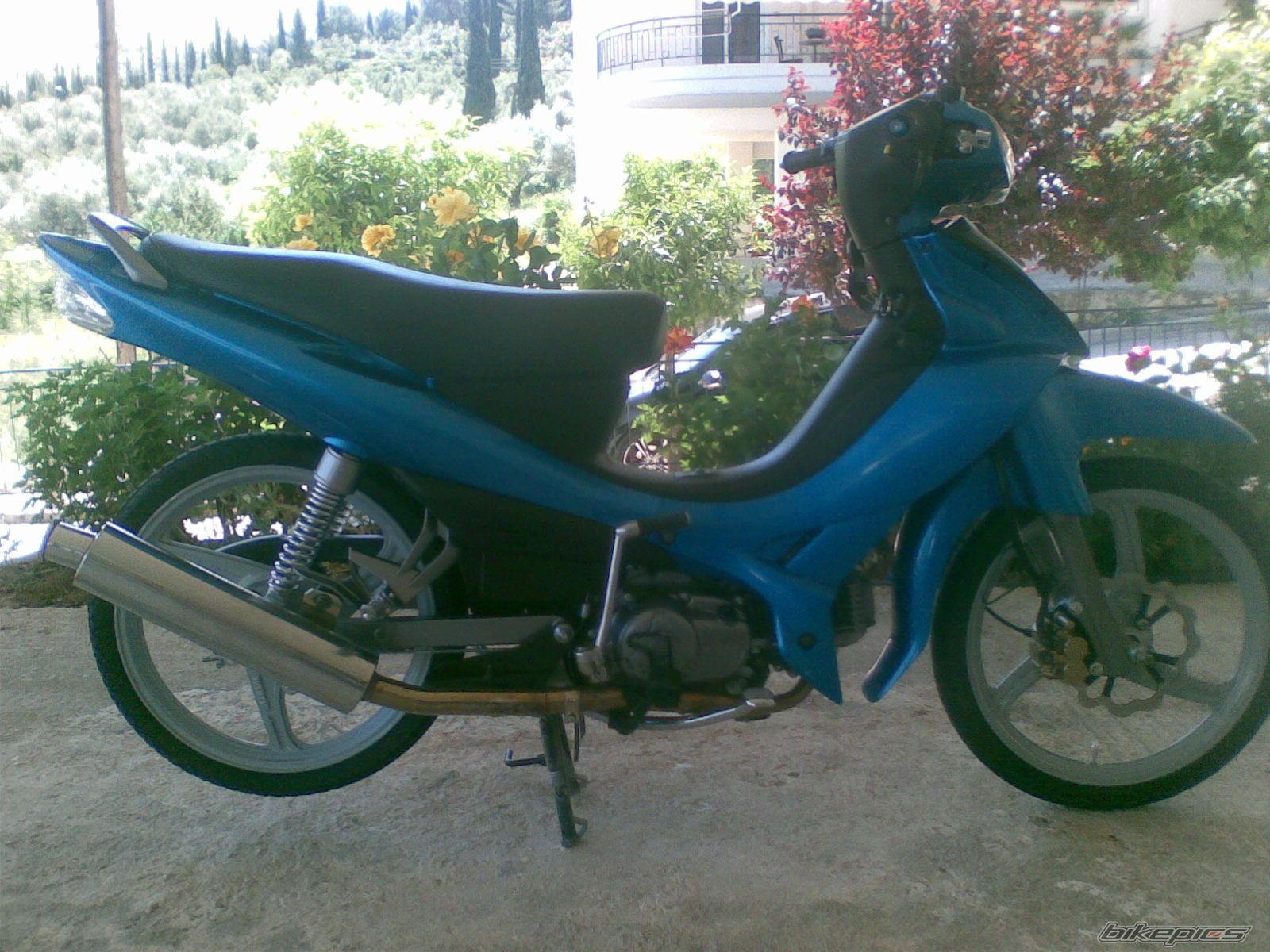 Photo 1024265