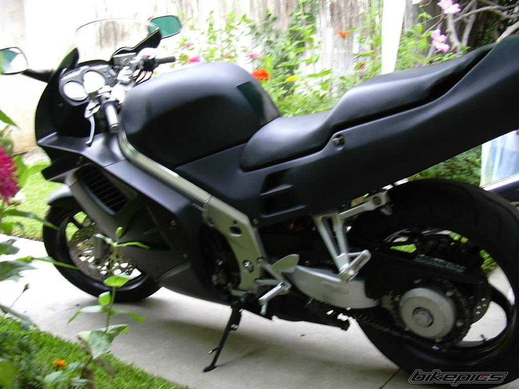 Photo 102433