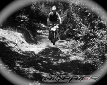 Photo 1024347