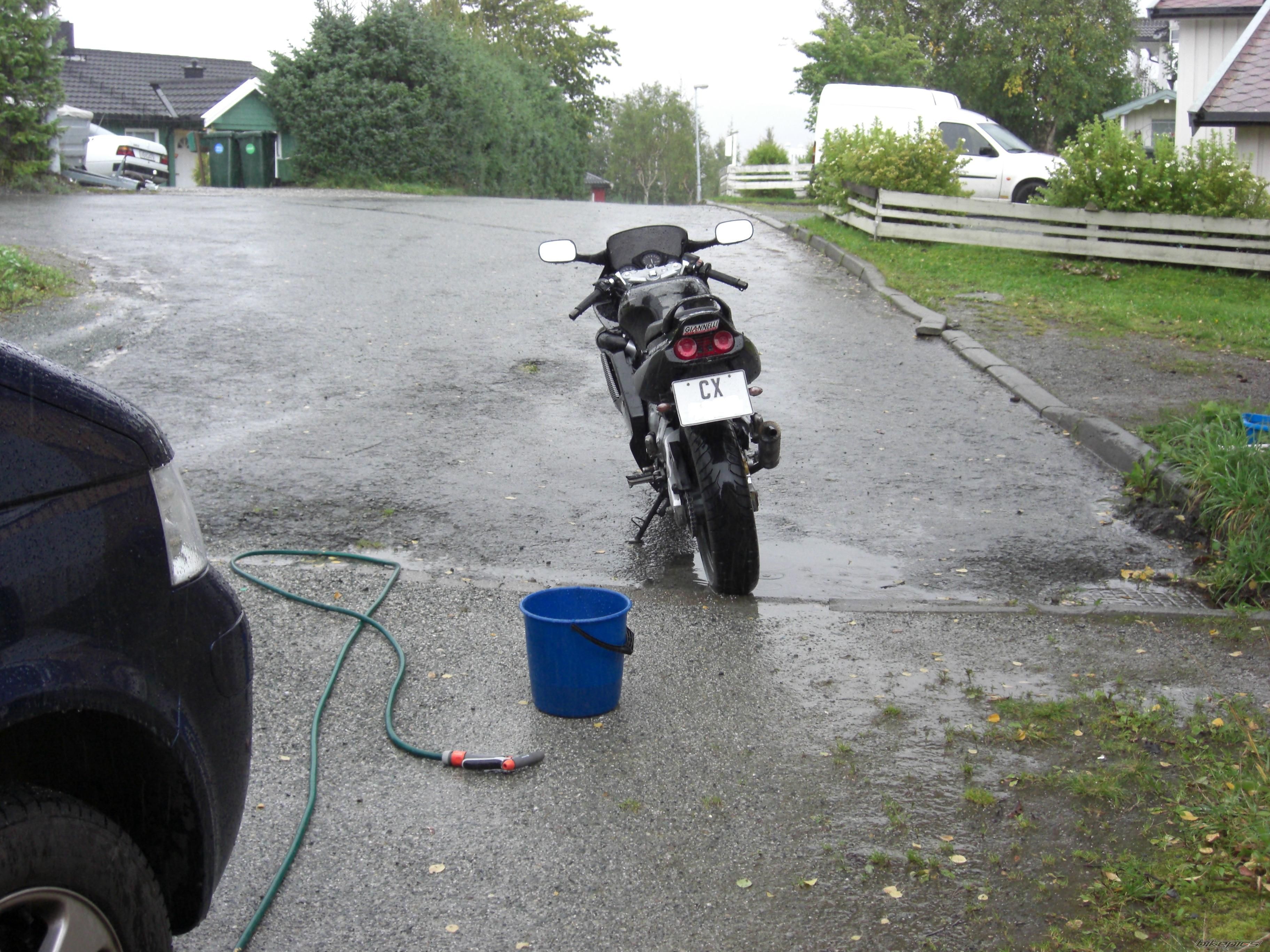 Photo 1024362