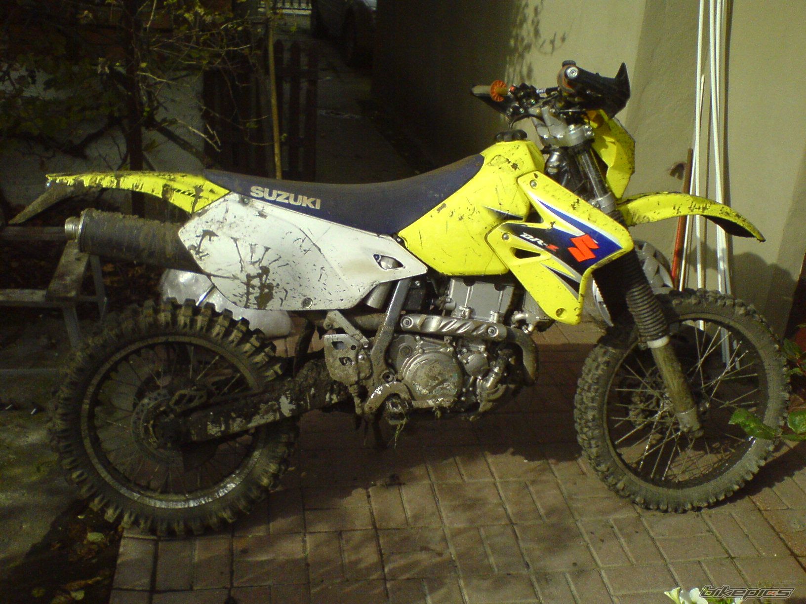 Photo 1024381