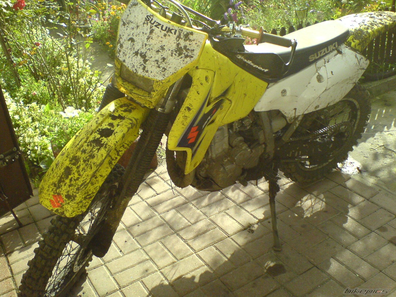 Photo 1024386