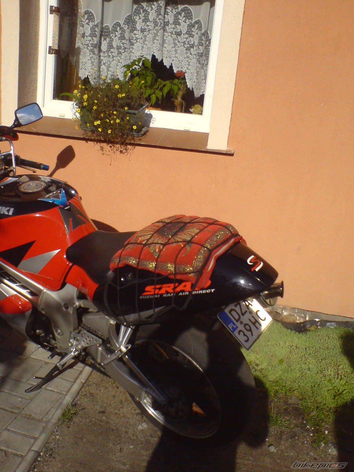 Photo 1024394