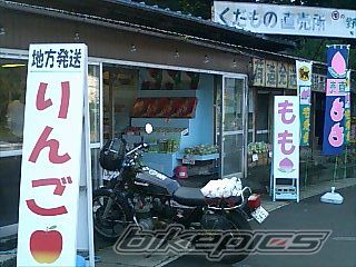 Photo 1024395