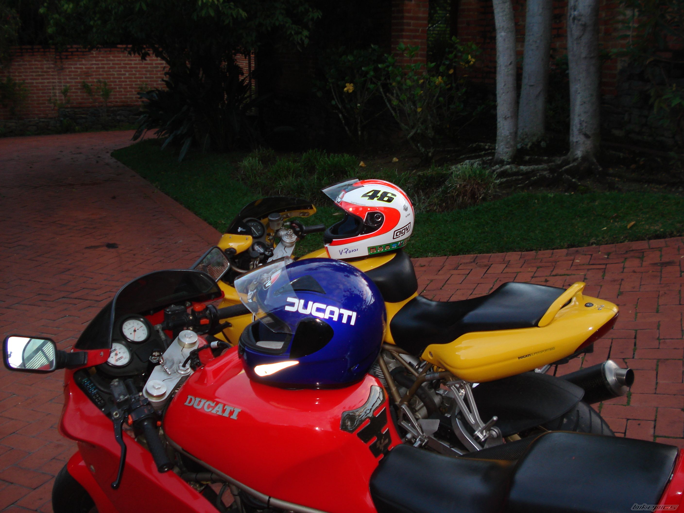 Photo 1024409