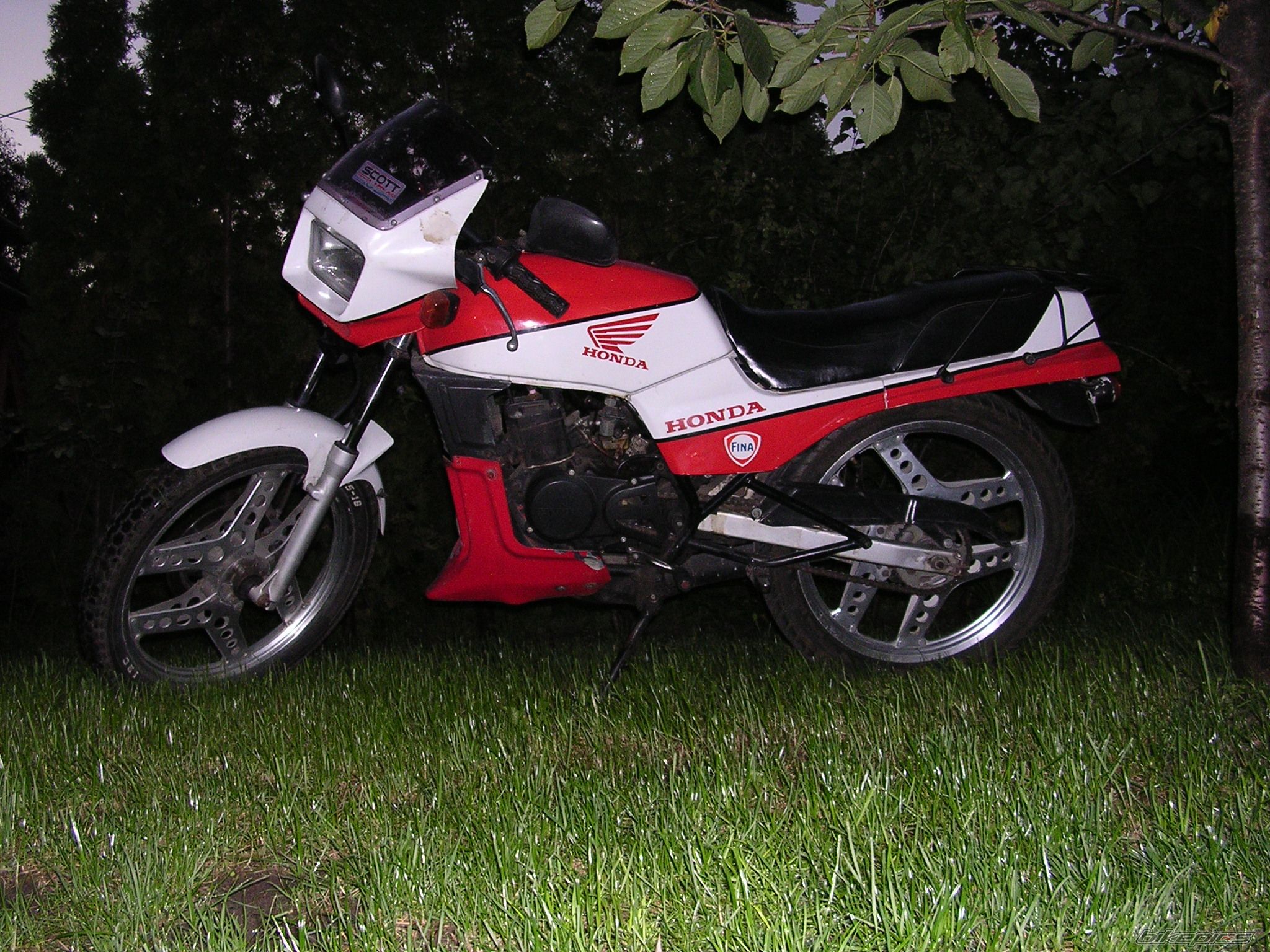 Photo 1024432