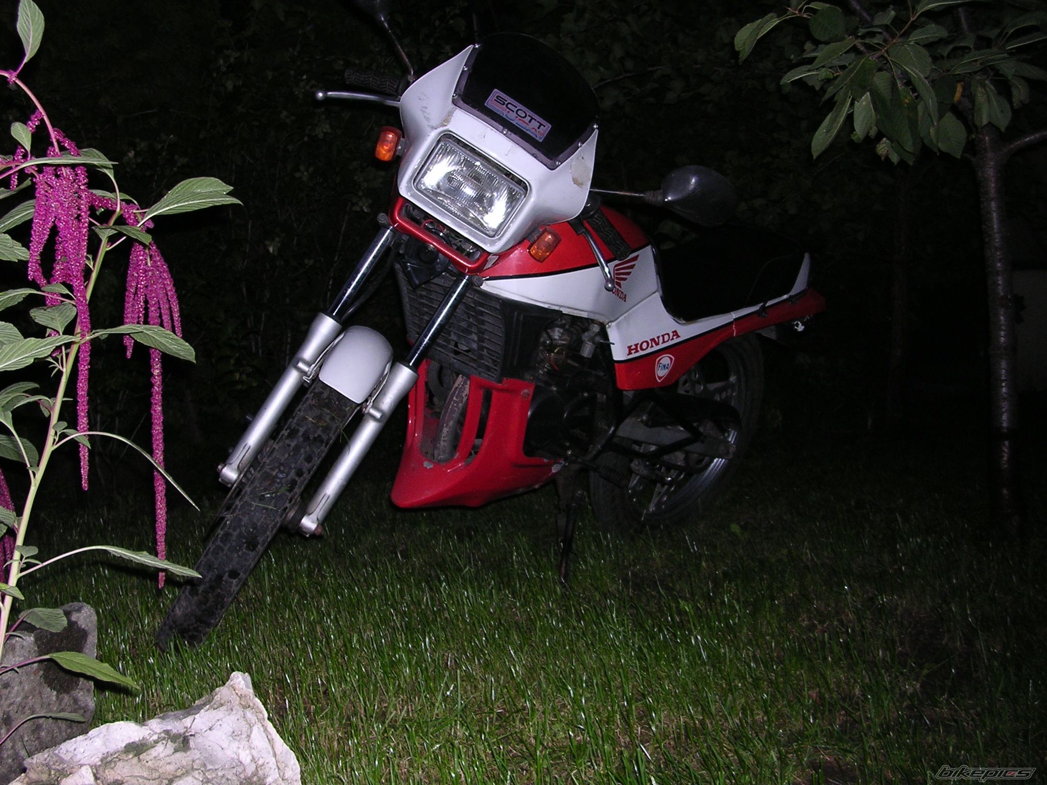 Photo 1024437