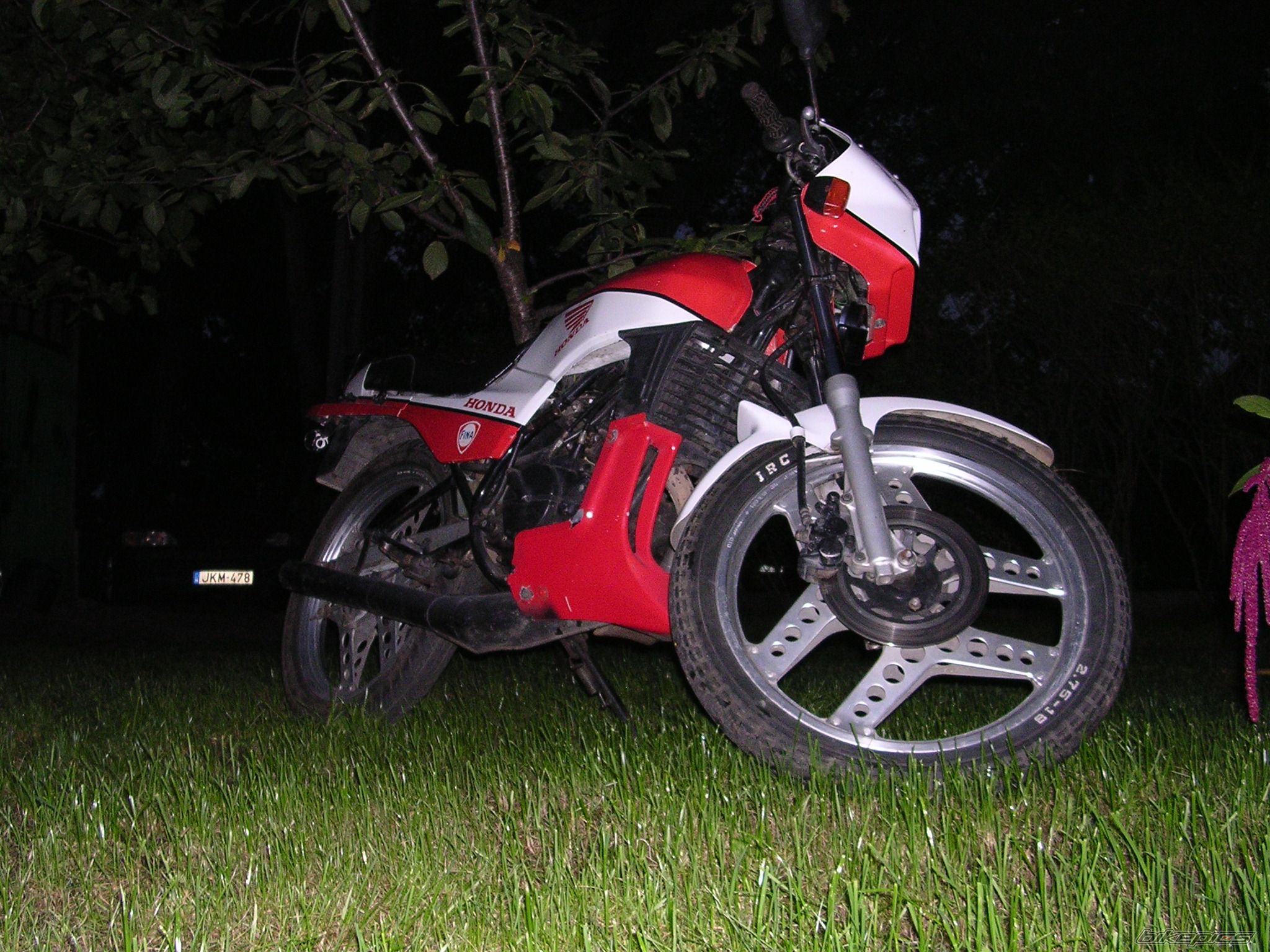 Photo 1024440