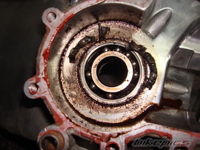 Photo 1024628