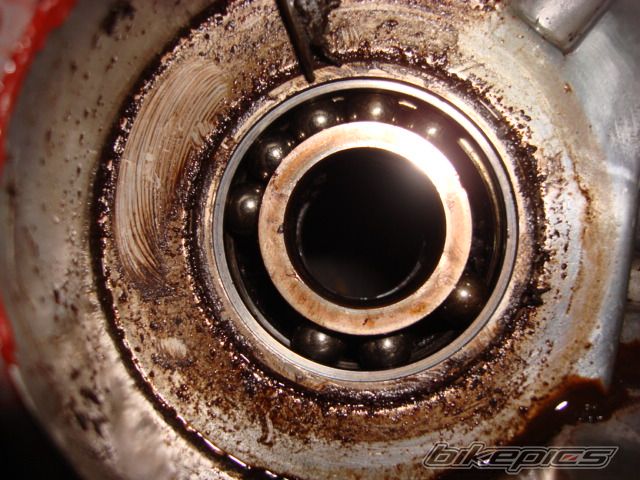 Photo 1024630