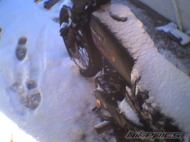 Photo 102469
