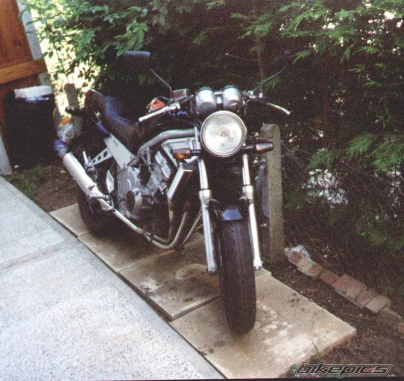 Photo 10247