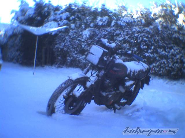Photo 102472