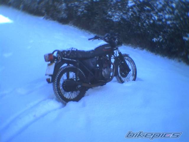 Photo 102475