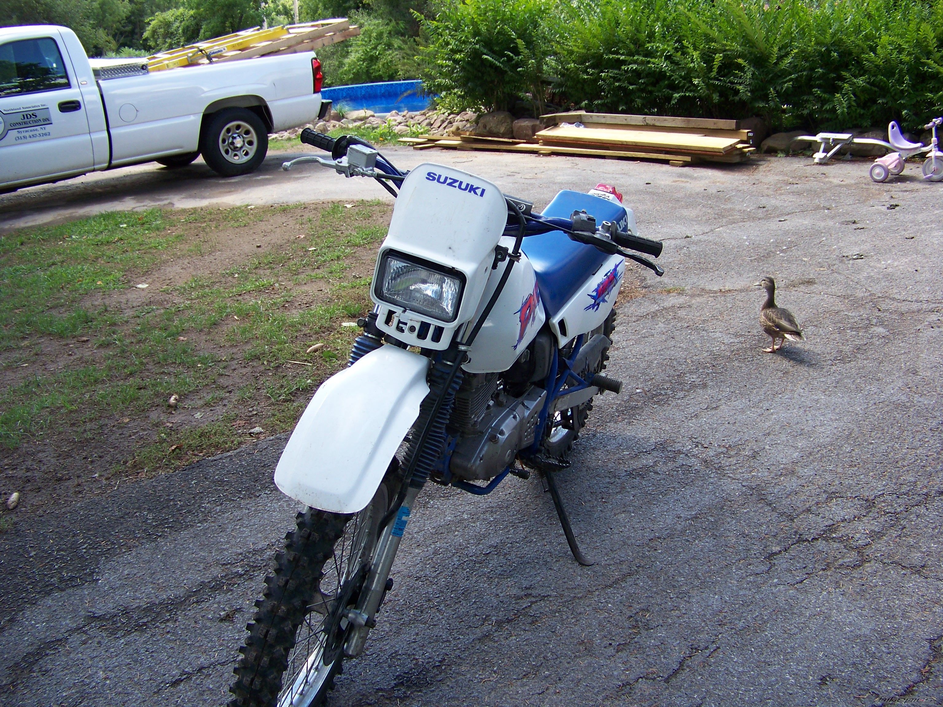 Photo 1024785