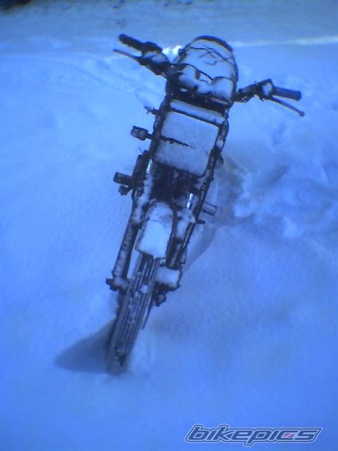 Photo 102480