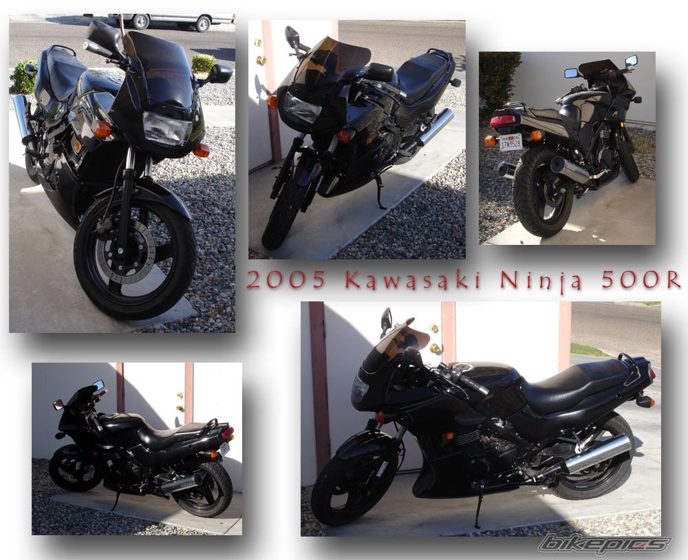 Photo 1024839