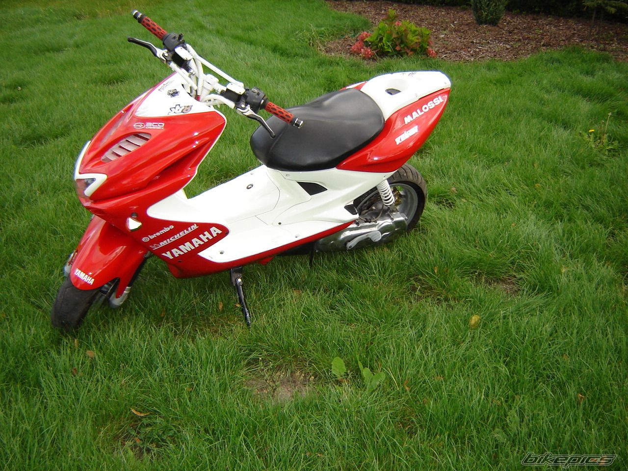 Photo 1024851