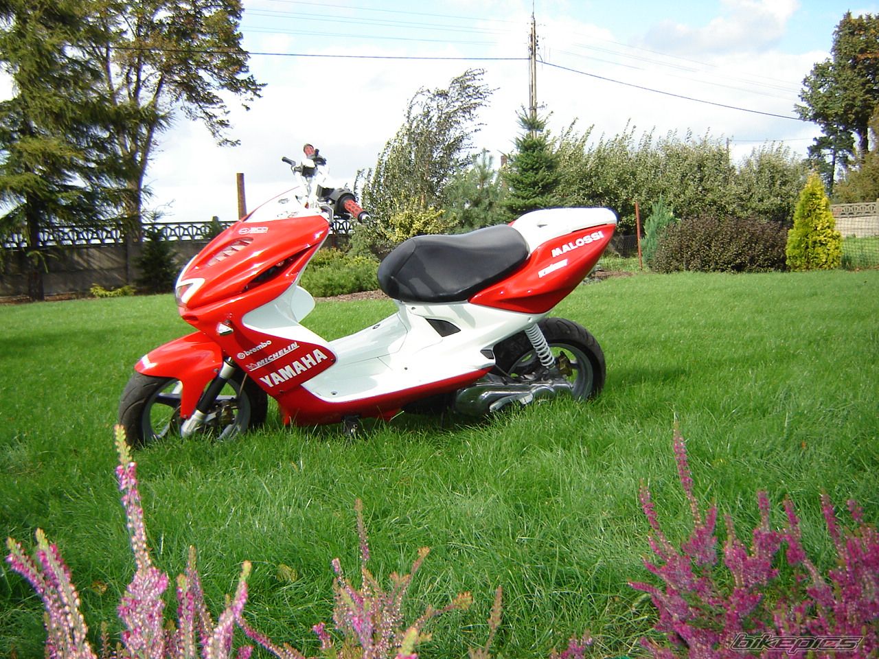 Photo 1024854