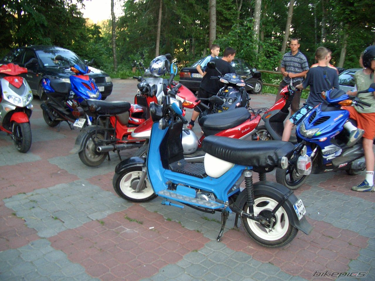 Photo 1024867