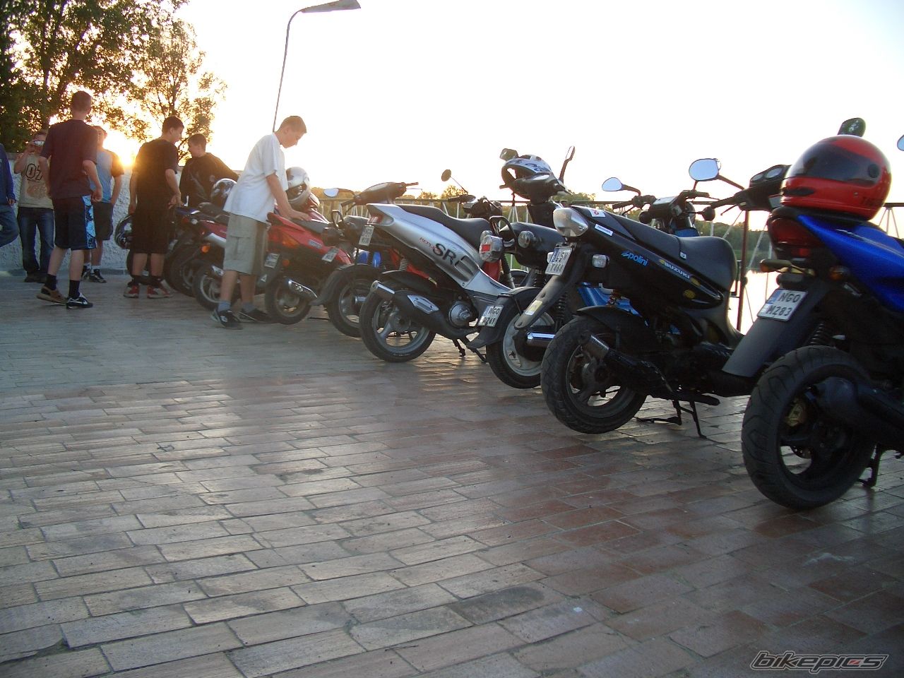 Photo 1024872