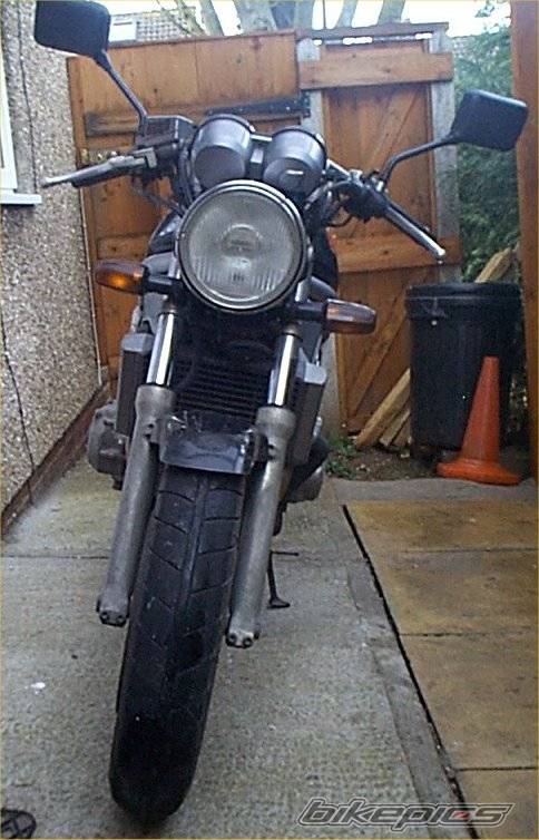 Photo 10249