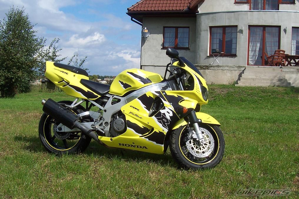 Photo 1024902