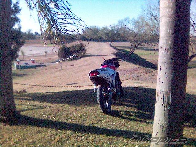 Photo 1024993
