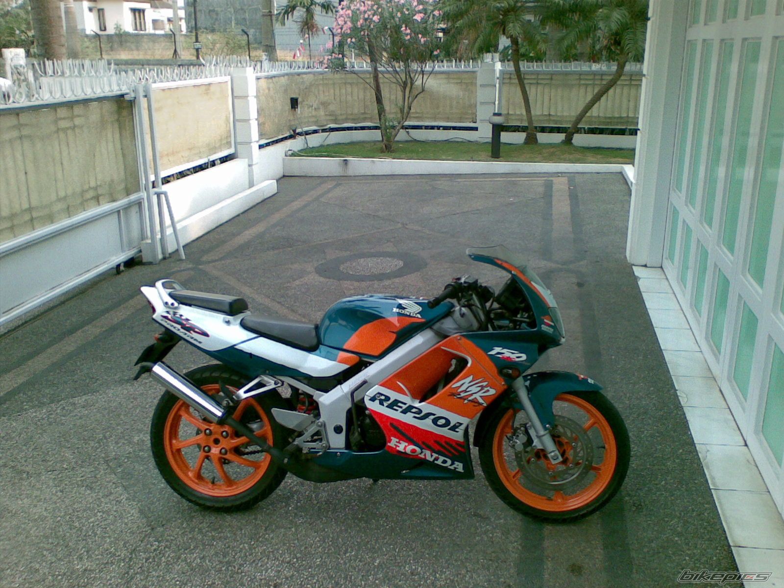 Photo 1024998