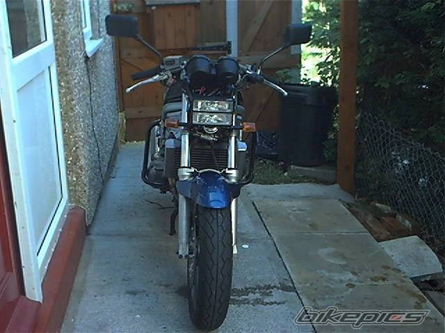 Photo 10251