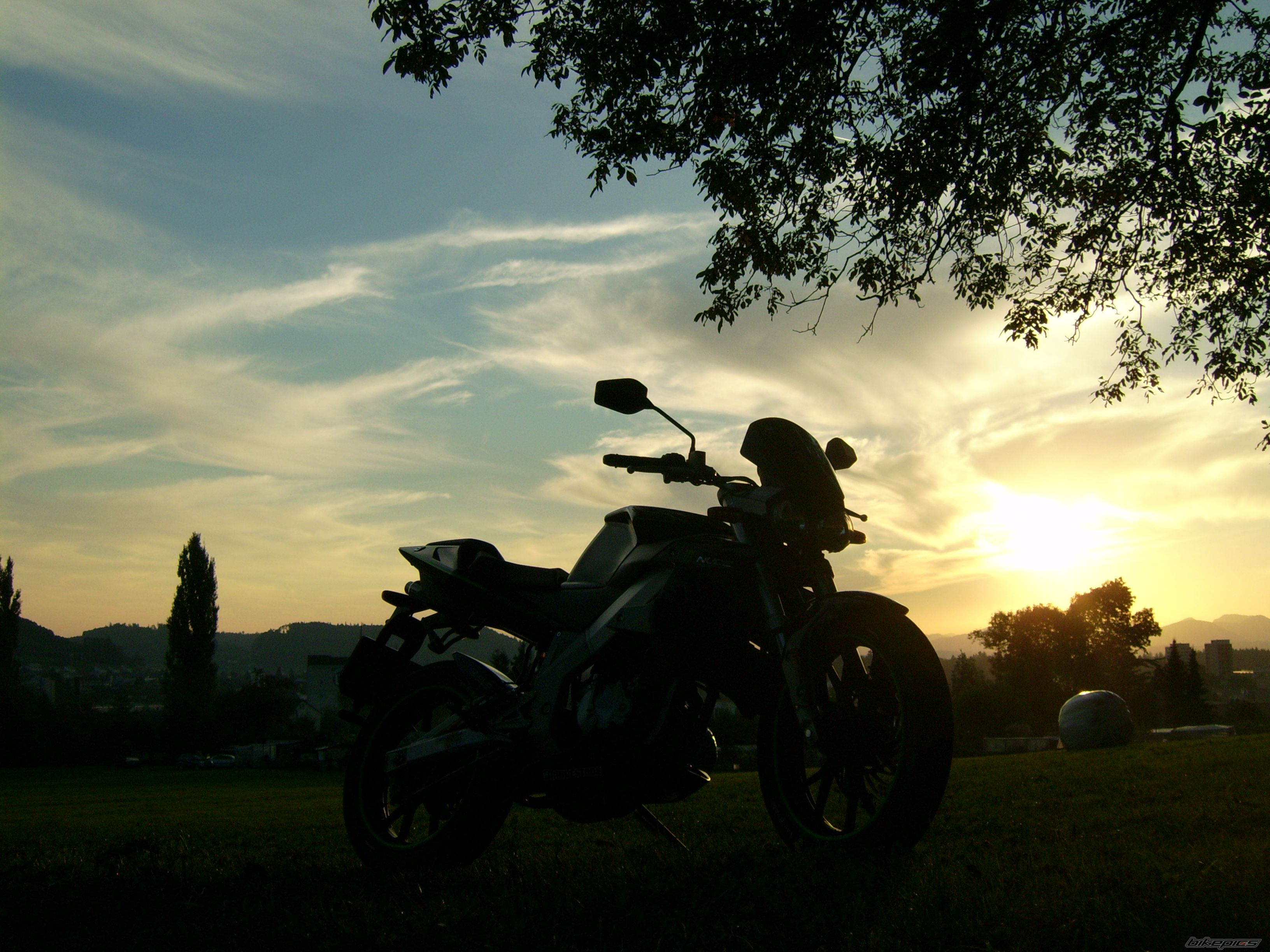 Photo 1025101
