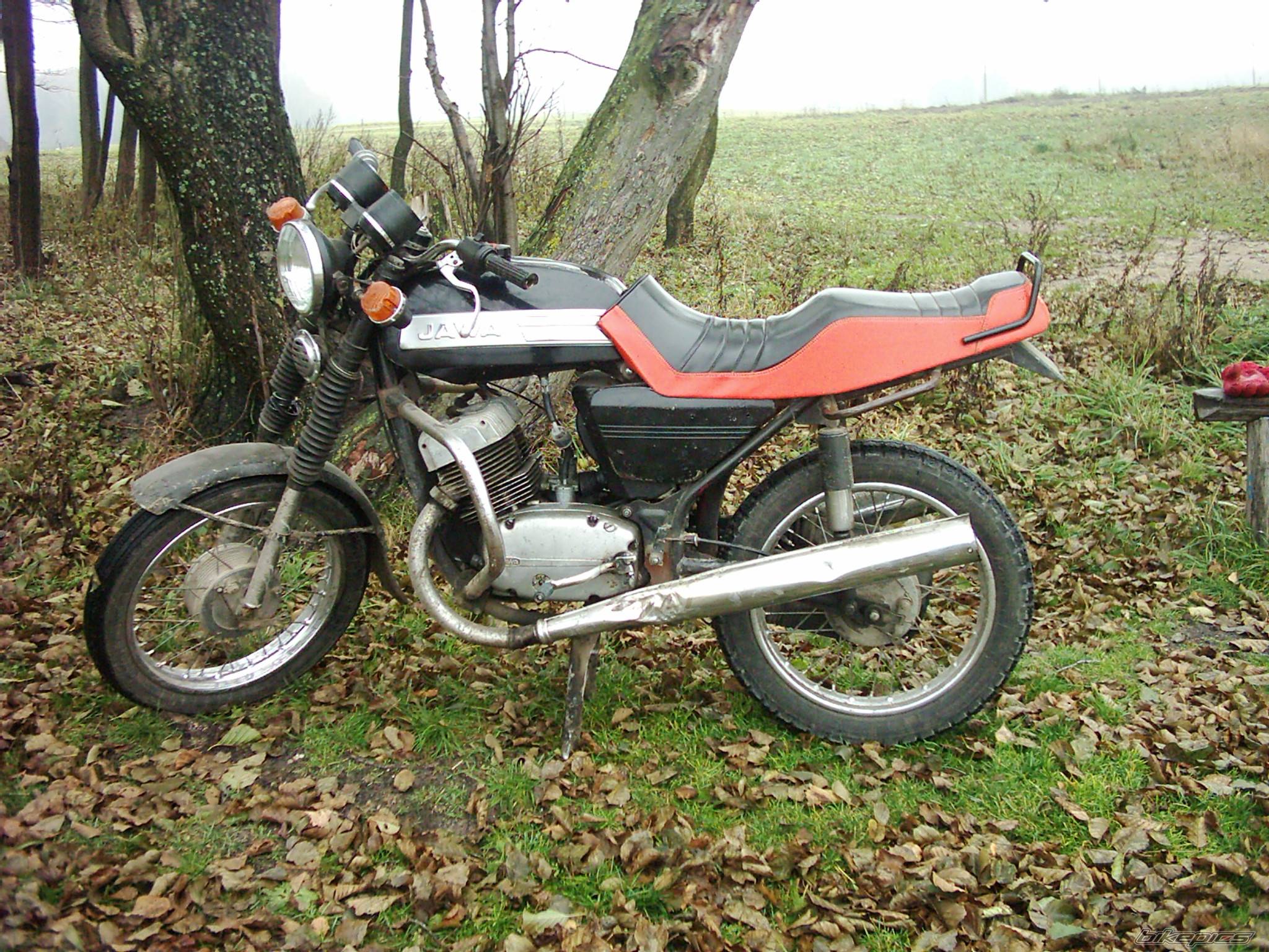 Bike Photo 102519