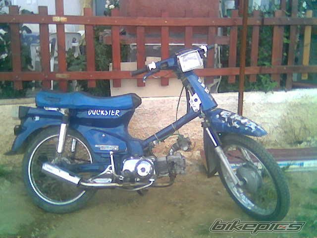 Photo 1025204