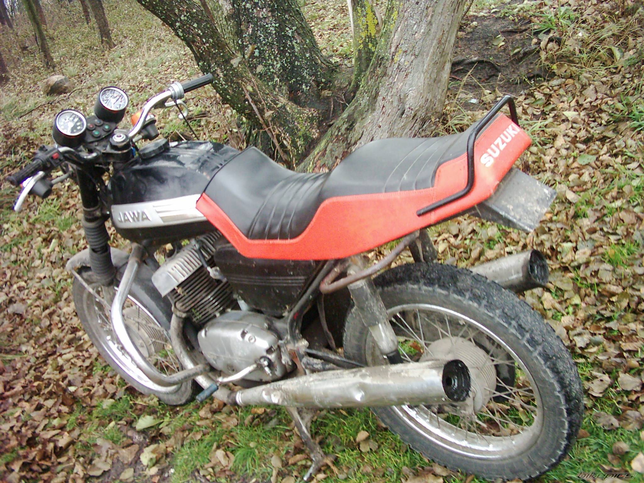Bike Photo 102524