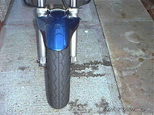 Photo 10253