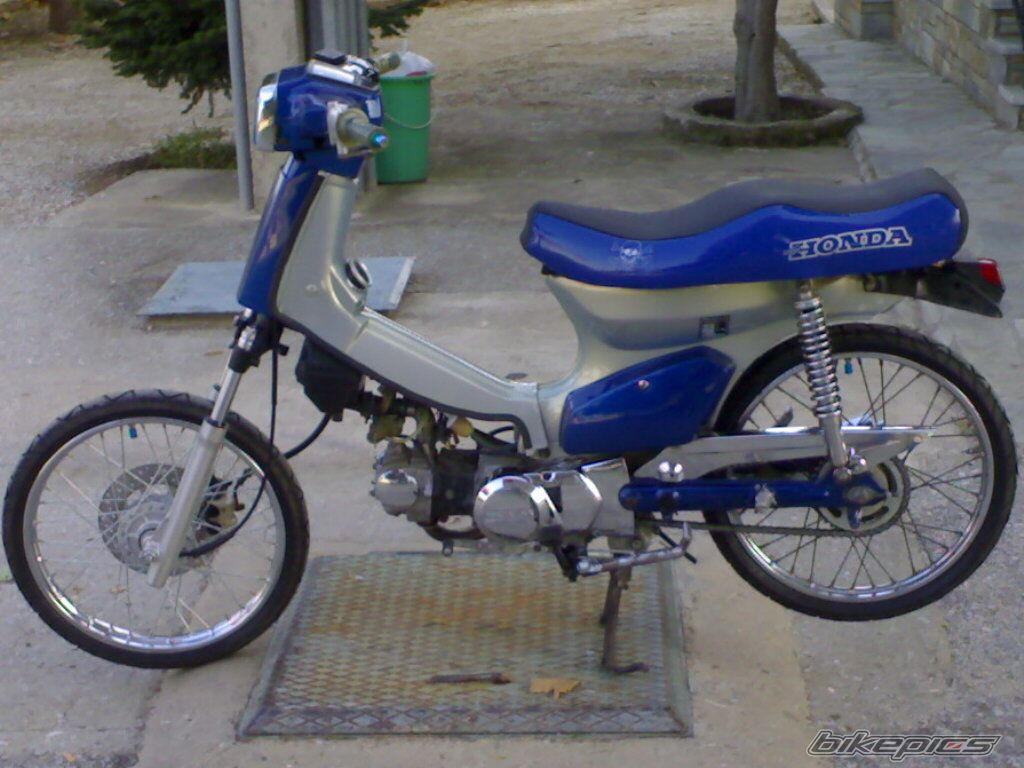 Photo 1025431